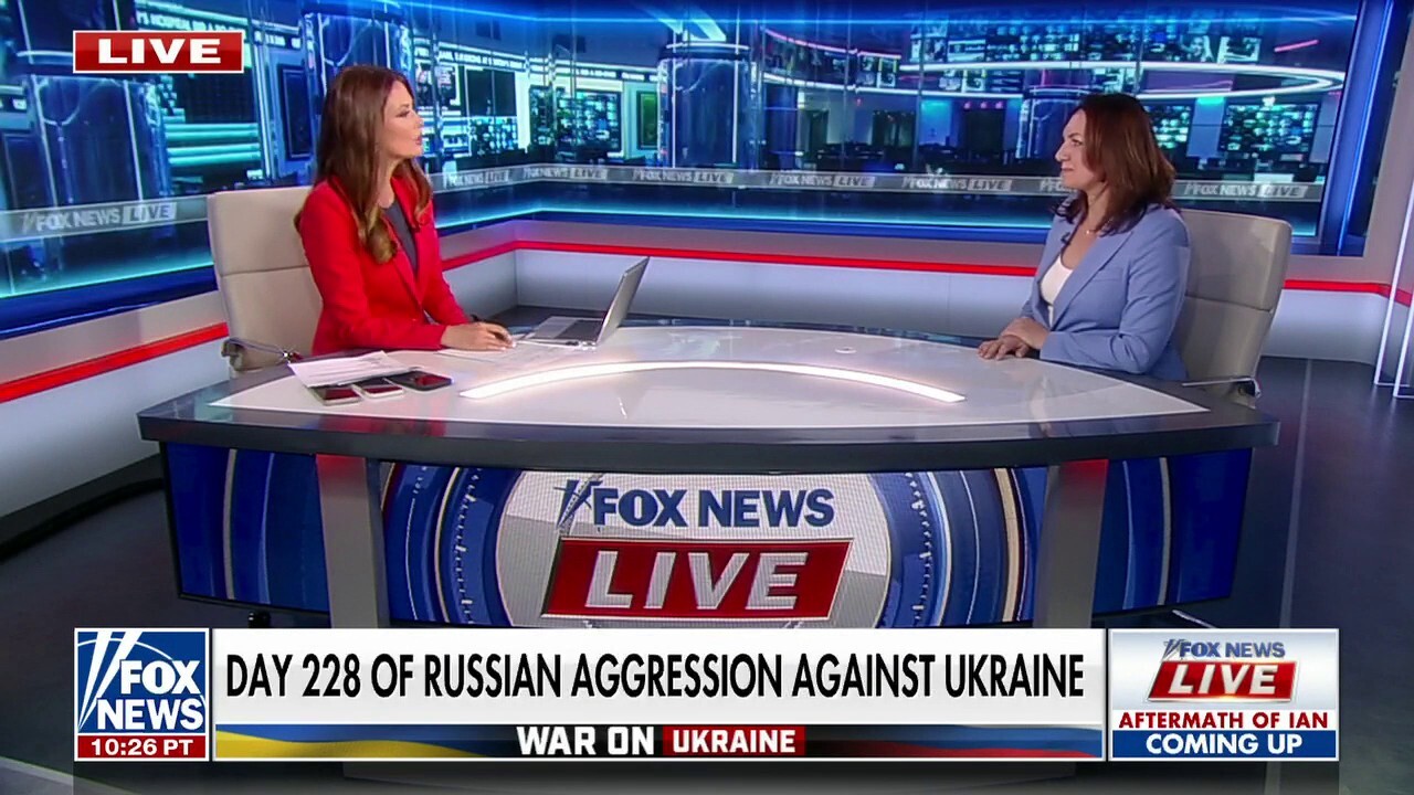 Turkish Journalist: Western Plan for Ukrainian Military Alliance Impossible